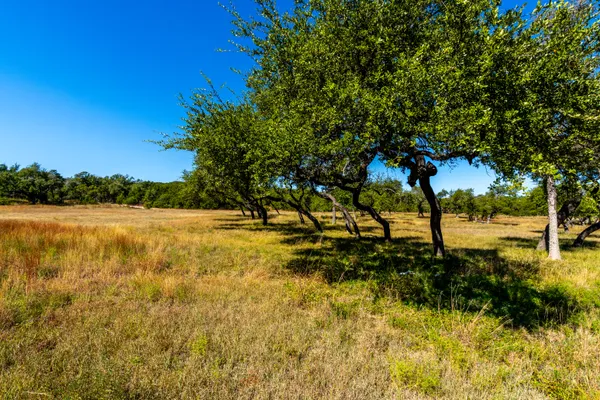 a view of a swimming pool with a bench and some trees in the background