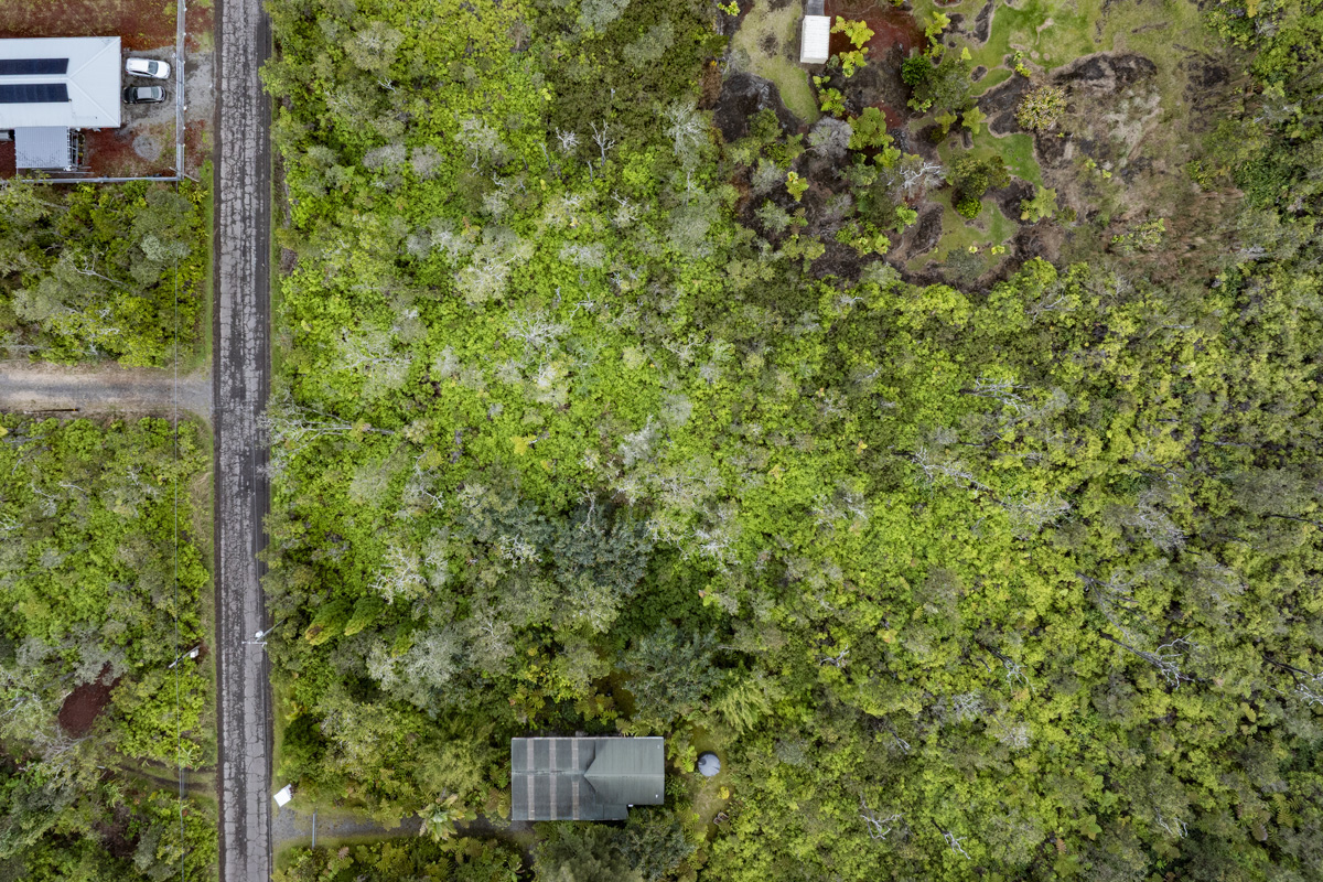 Anuhea Street Volcano, HI 96785 - Photo 7 of 22 a view of a green yard