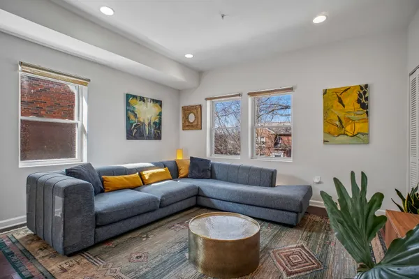 a living room with furniture and a potted plant