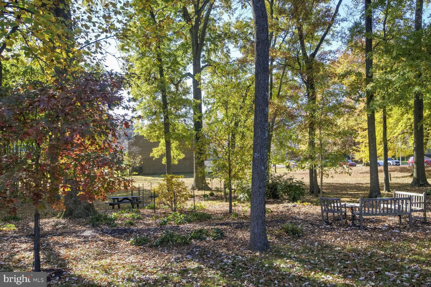 a view of outdoor space with lots of trees