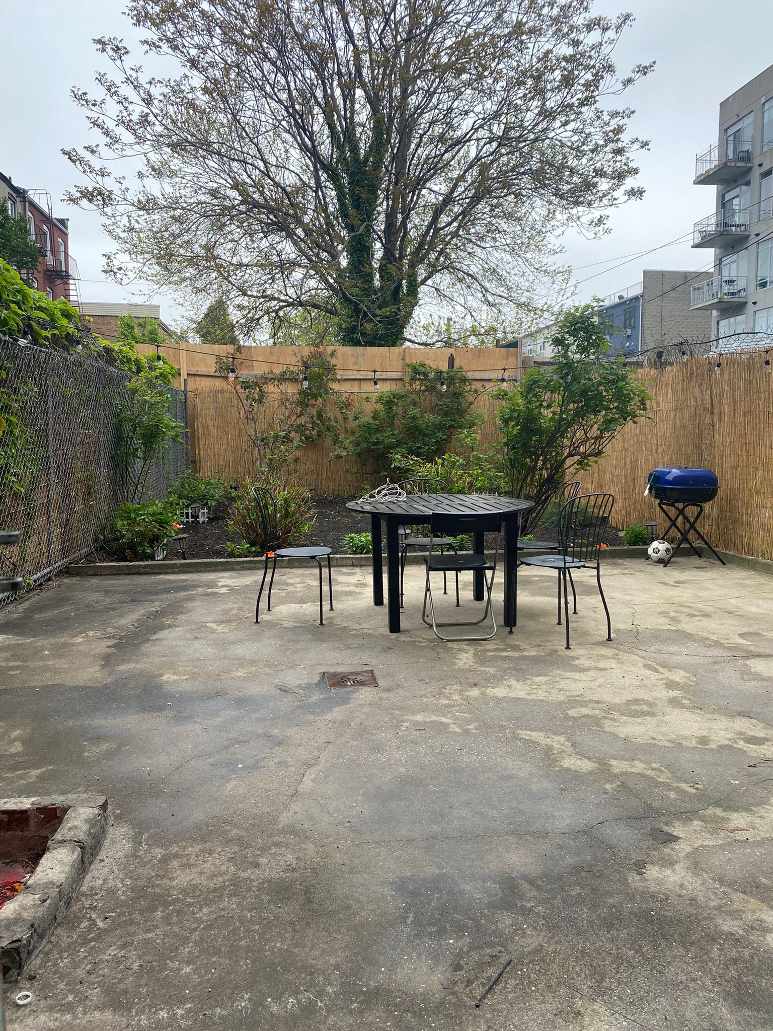 591 Vanderbilt Avenue, Unit STOREFRONT Brooklyn, NY 11238 - Photo 6 of 7