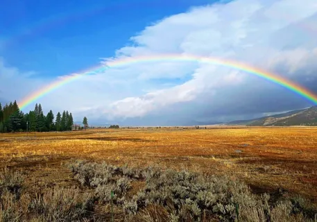 $11,500,000 | 521 Campbell Hot Springs Road, Sierraville, CA 96126
