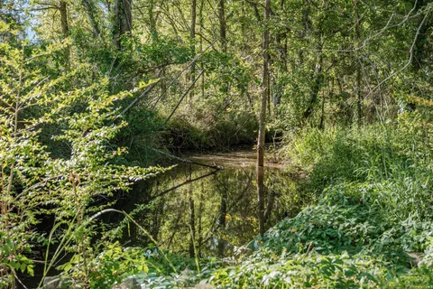 $1,290,000 | 332 John Shaw Road, Lewisburg, TN 37091