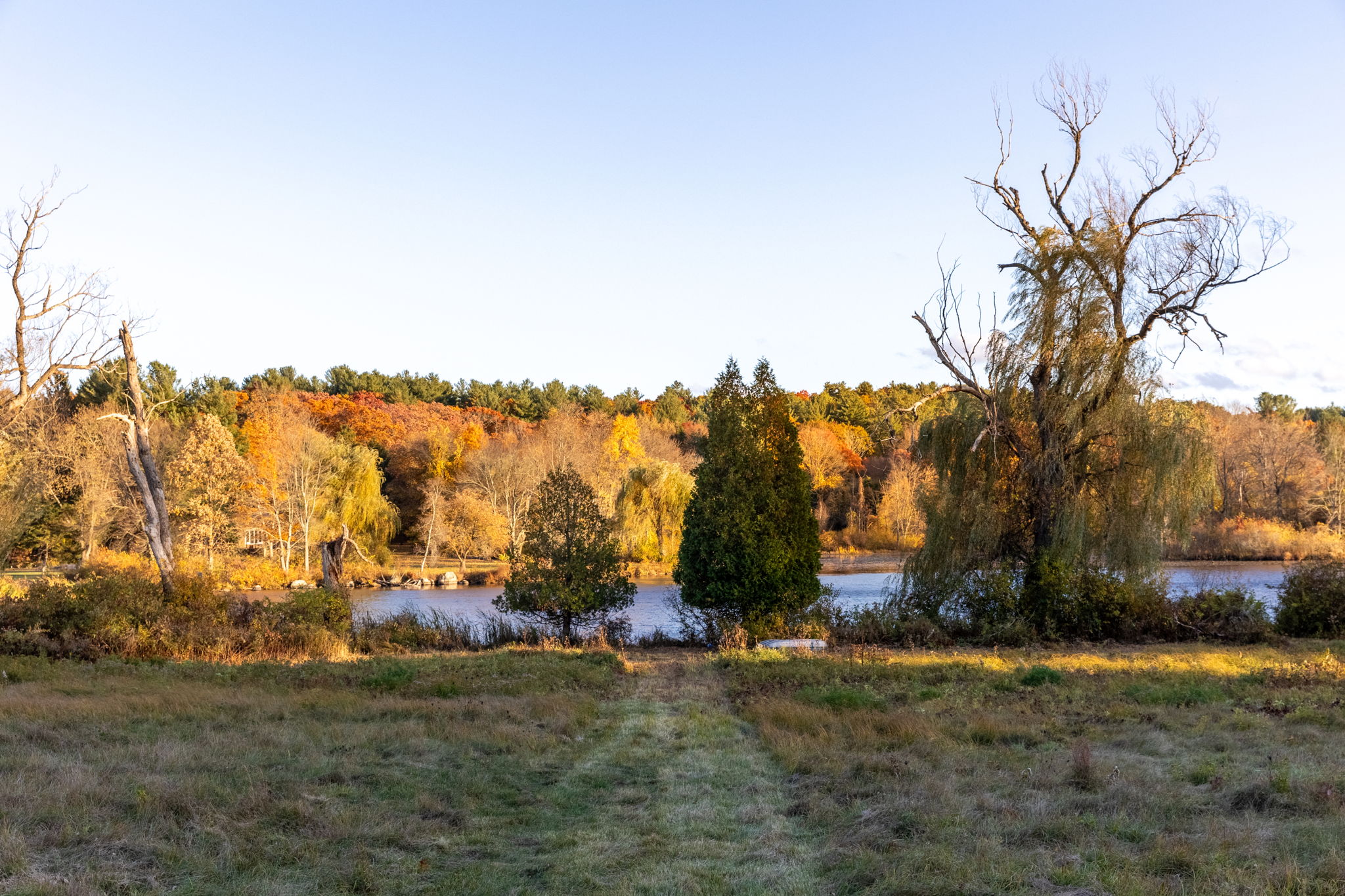 59 Conant Road Lincoln, MA 01773 - Photo 30 of 47 a view of a field with trees around