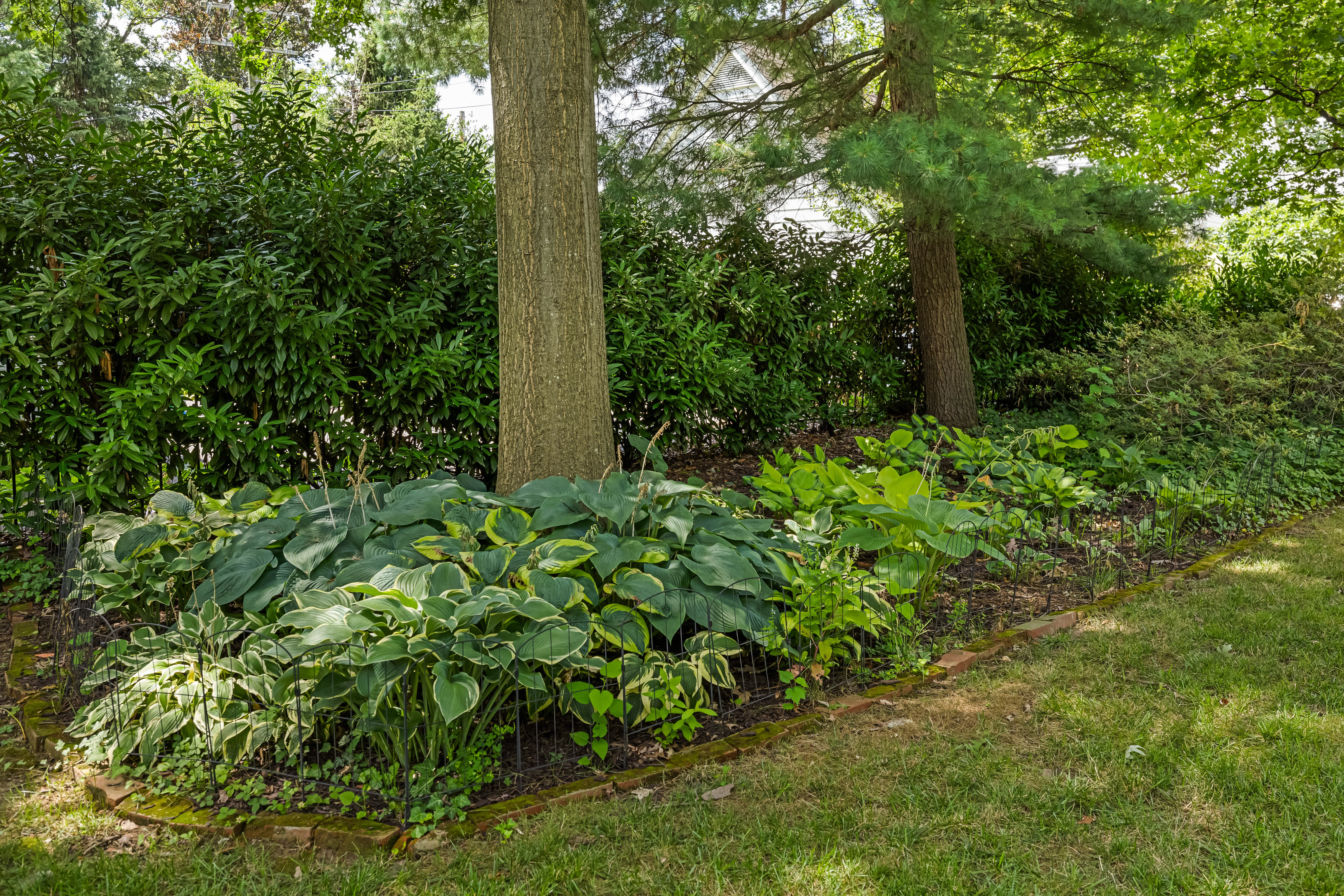 4402 Norwood Road Baltimore, MD 21218 - Photo 68 of 71 Gallery Image 68