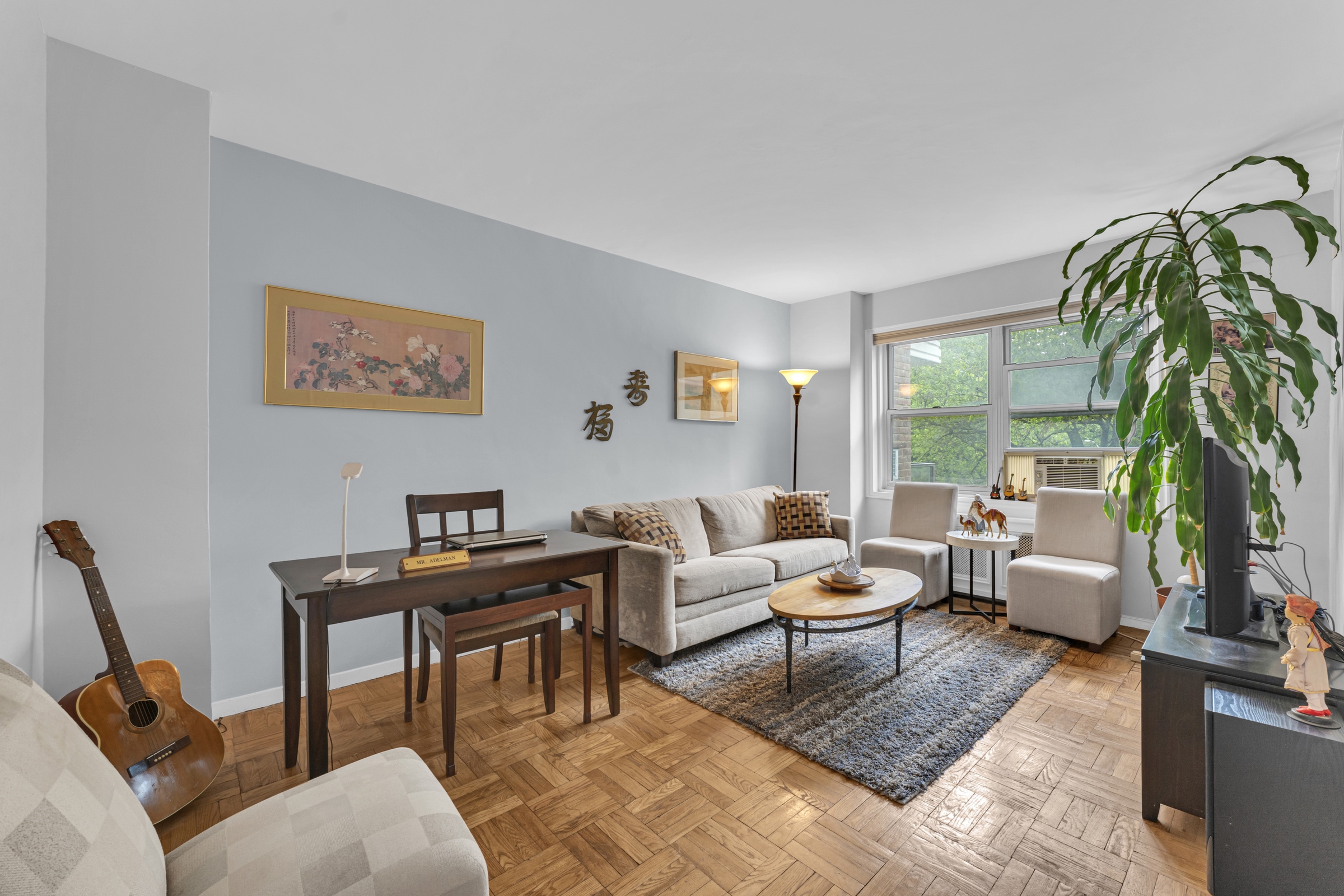 750 Kappock Street, Unit 307 Bronx, NY 10463 - Photo 12 of 20 a living room with furniture a rug and a potted plant