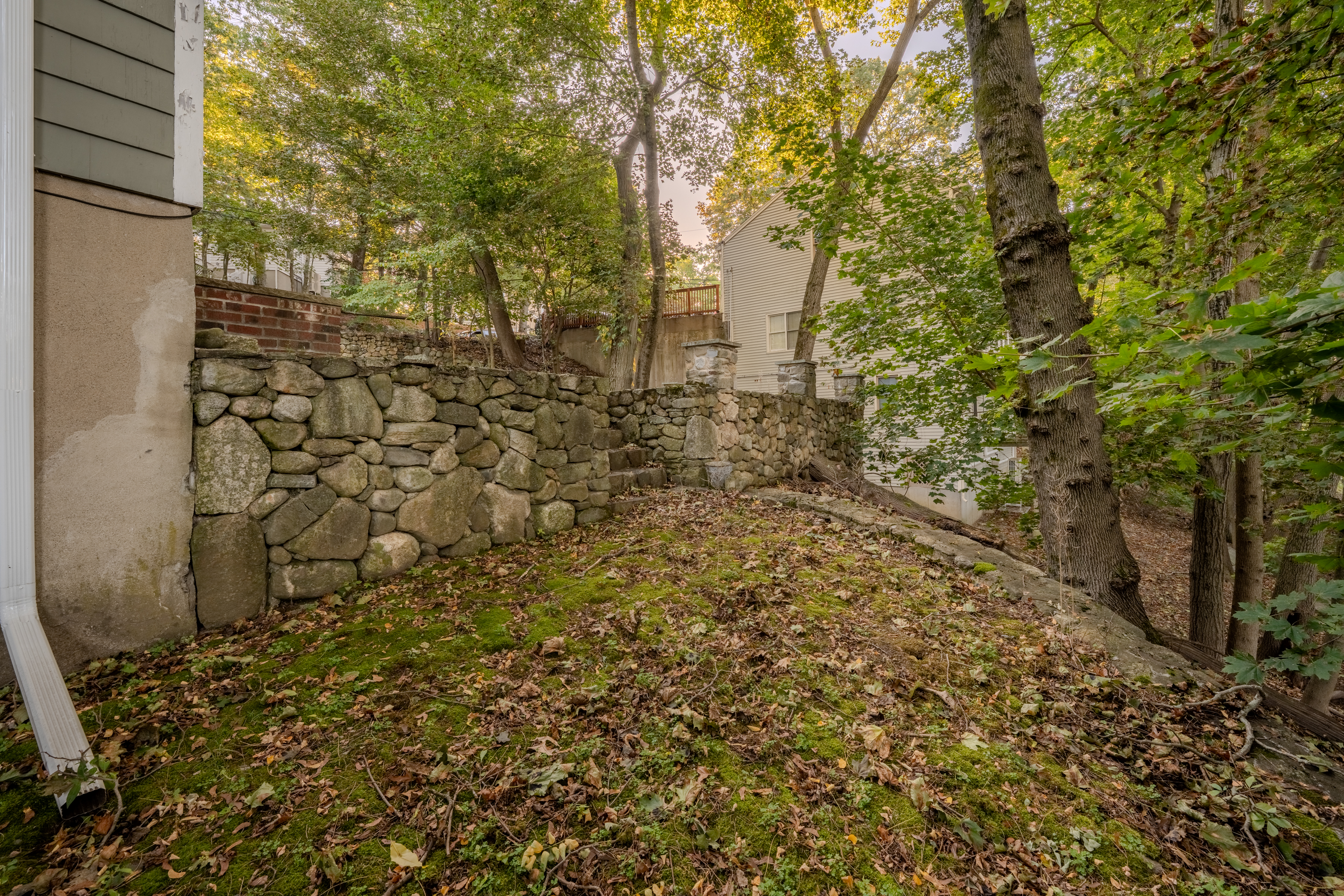 61 Sargent Road Winchester, MA 01890 - Photo 9 of 18