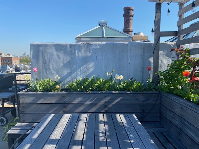 491 Park Place, Unit 4F Brooklyn, NY 11238 - Photo 8 of 9