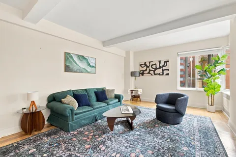 a living room with furniture and a potted plant