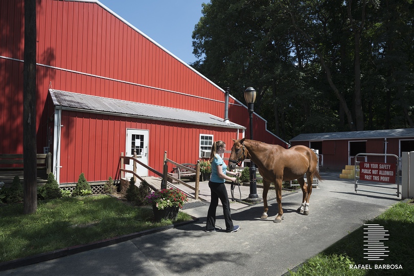 3235 Cambridge Avenue, Unit 1L Bronx, NY 10463 - Photo 11 of 11