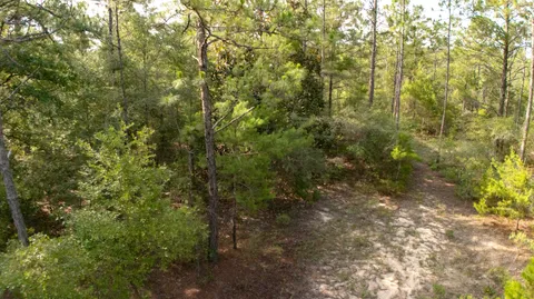 Contact Agent | Lots 7, 8, 9, 10 Tarpon Lane, DeFuniak Springs, FL 32433