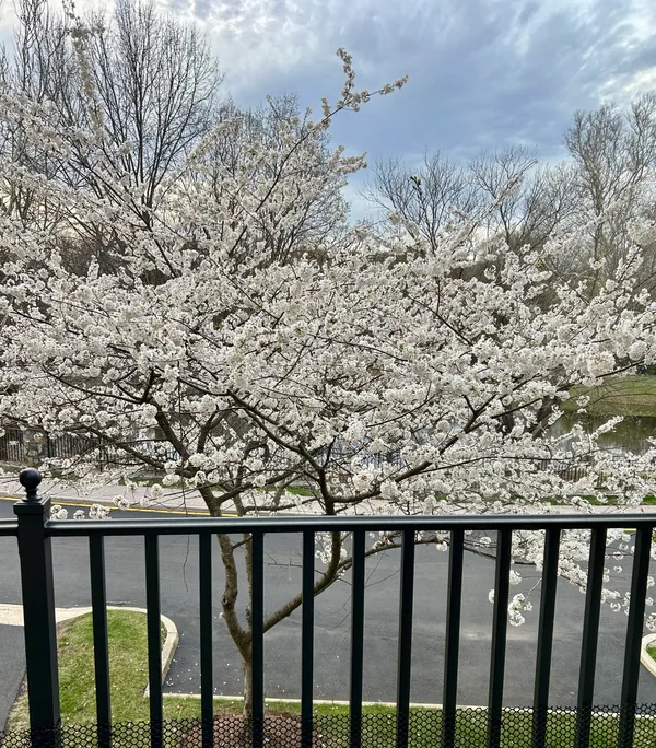 $2,599,000 | 7212 Farm Meadow Court, McLean, VA 22101