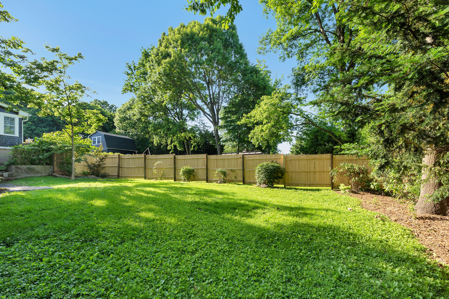 242-09 Pine Street Queens, NY 11363 - Photo 18 of 21 a backyard of a house with plants and large trees