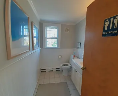 a bathroom with a toilet a sink and a window