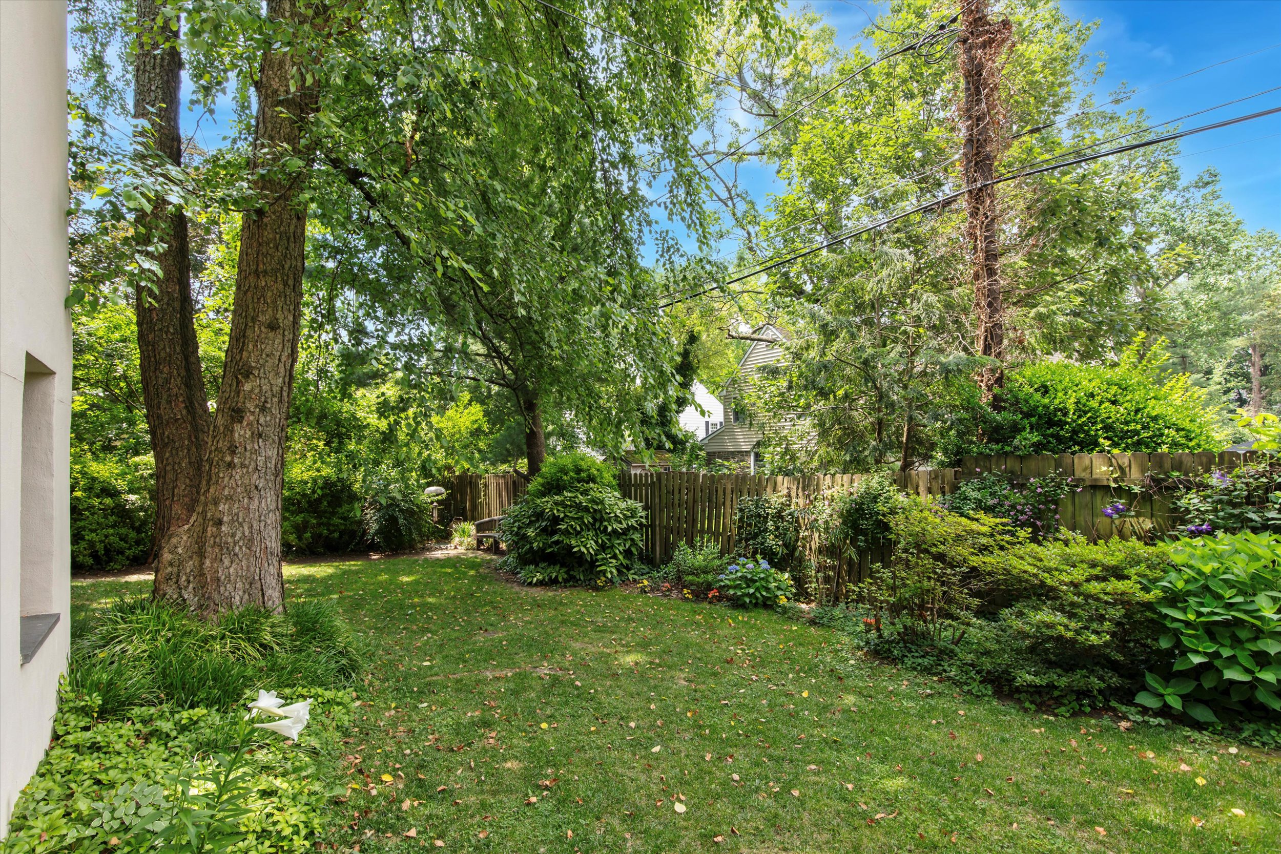 376 Merion Road Merion Station, PA 19066 - Photo 31 of 35 a view of lush green forest