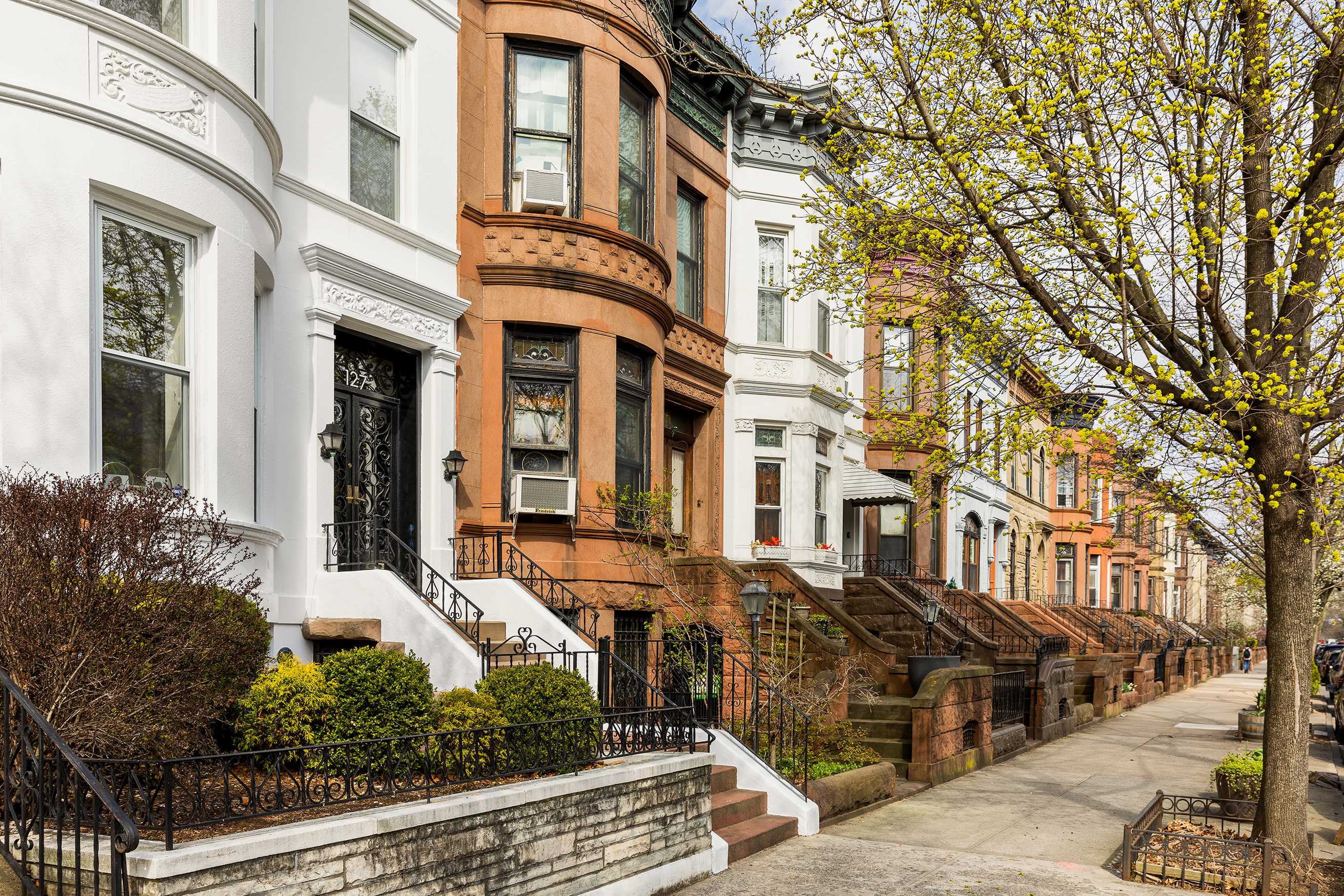127 Rutland Road Brooklyn, NY 11225 - Photo 25 of 26 Gallery Image 25