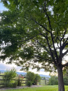 $1,400,000 | 1574 Sunset Ridge Road, Highlands Ranch, CO 80126