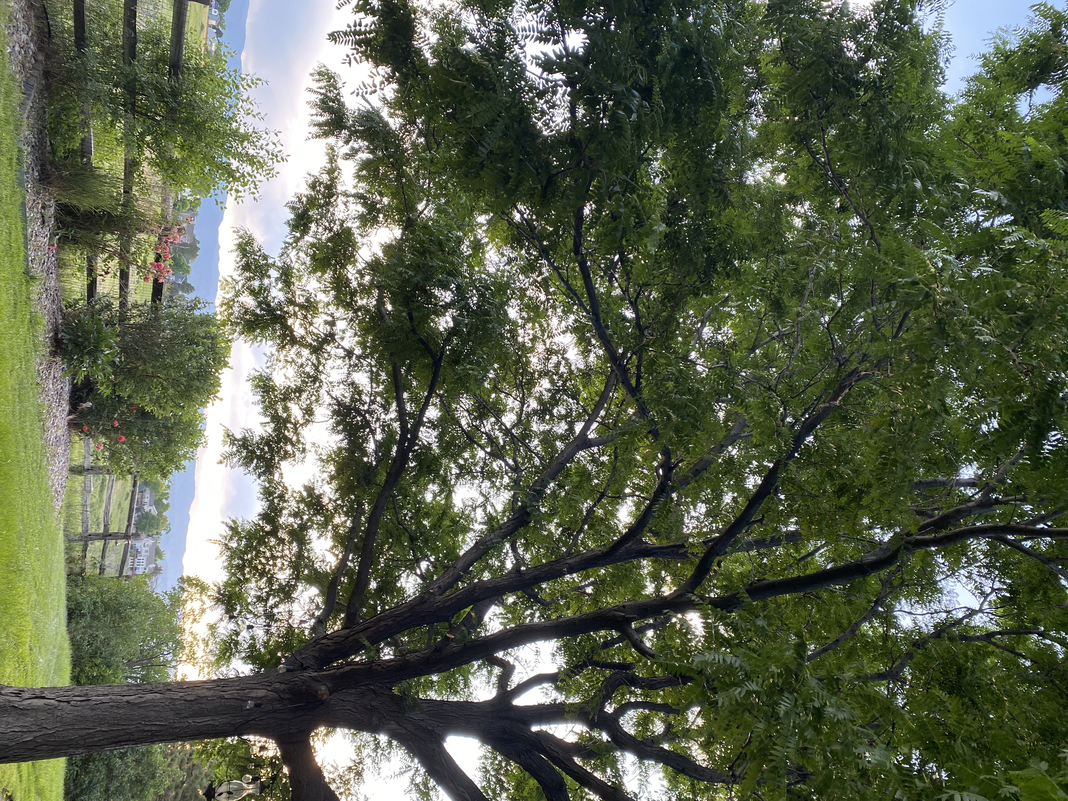 1574 Sunset Ridge Road Highlands Ranch, CO 80126 - Photo 21 of 22