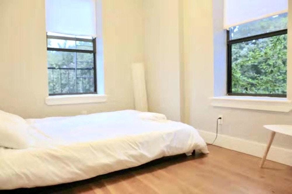 679 Halsey Street, Unit 2L Brooklyn, NY 11233 - Photo 5 of 6