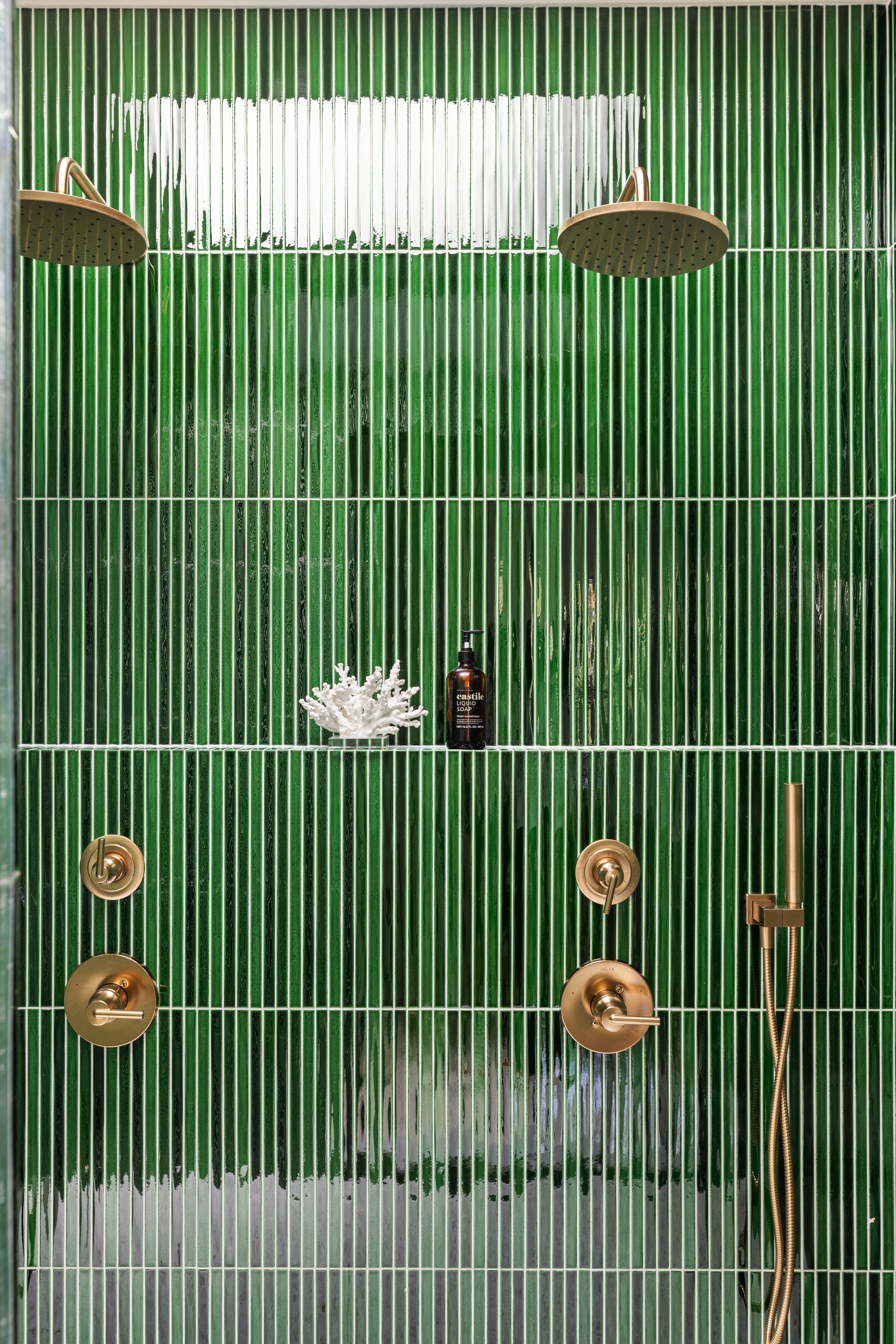 707 Macon Street Brooklyn, NY 11233 - Photo 11 of 16 a view of a bird area