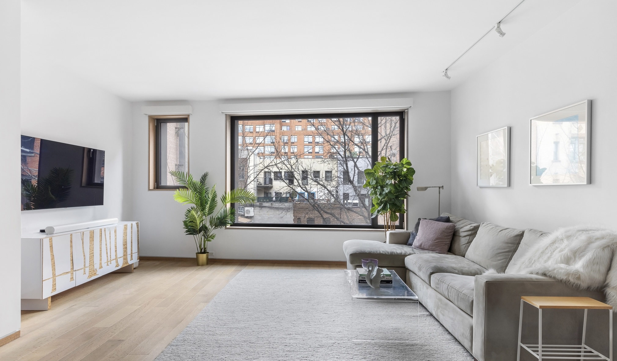 210 Pacific Street, Unit 3E Brooklyn, NY 11201 - Photo 4 of 14 a living room with furniture a flat screen tv and a potted plant