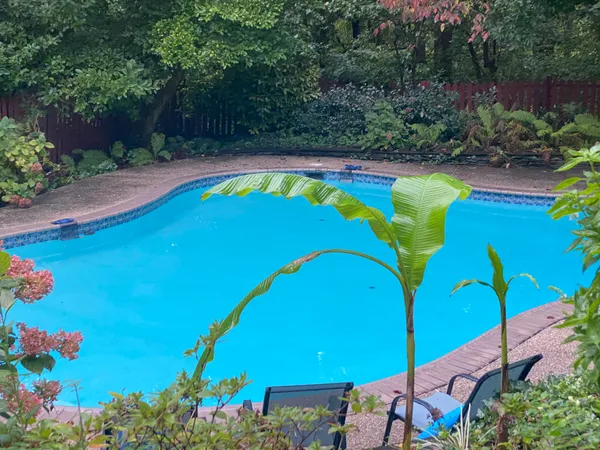 a view of swimming pool with outdoor seating and plants