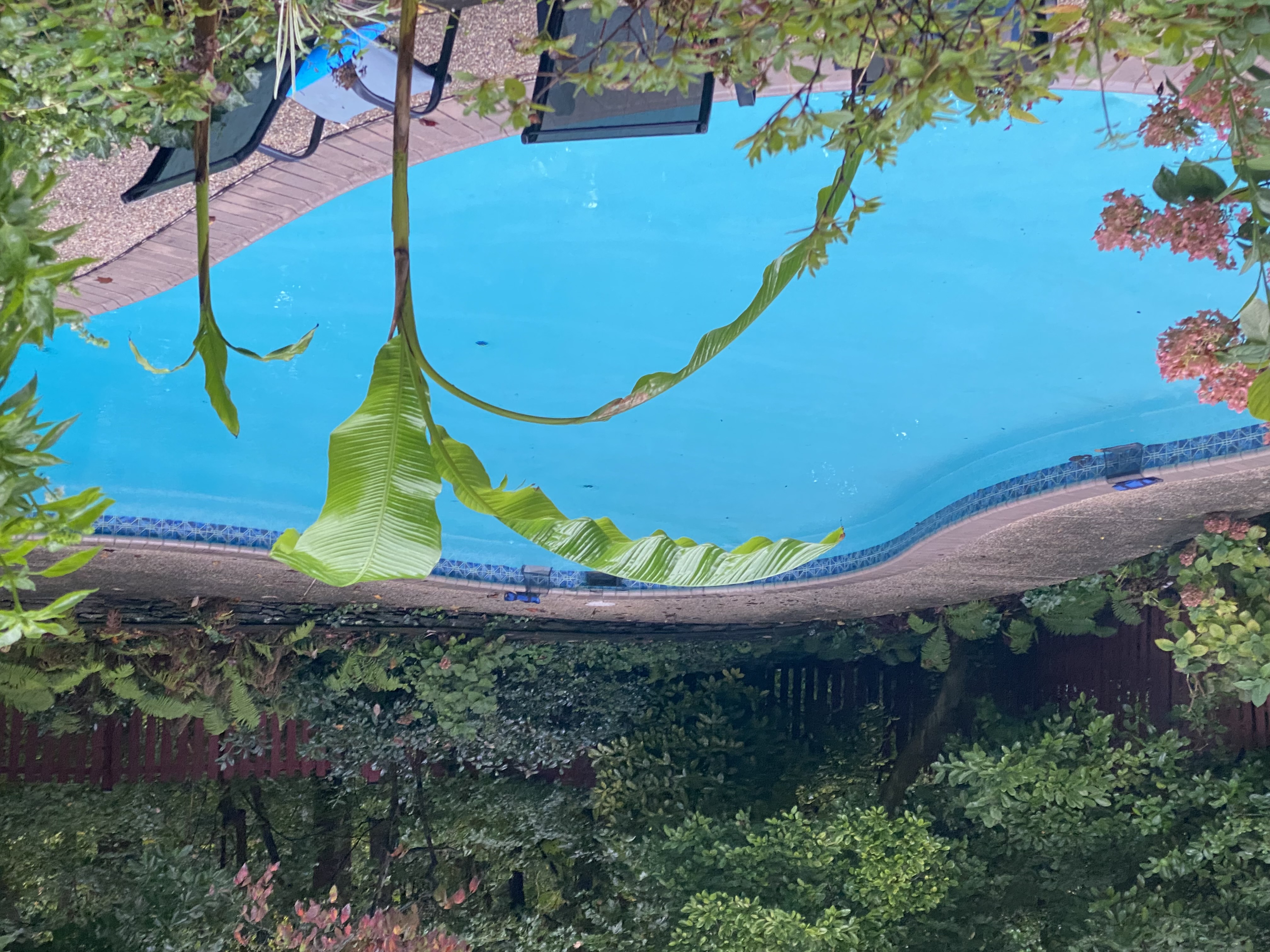 5344 Falmouth Road Bethesda, MD 20816 - Photo 9 of 17