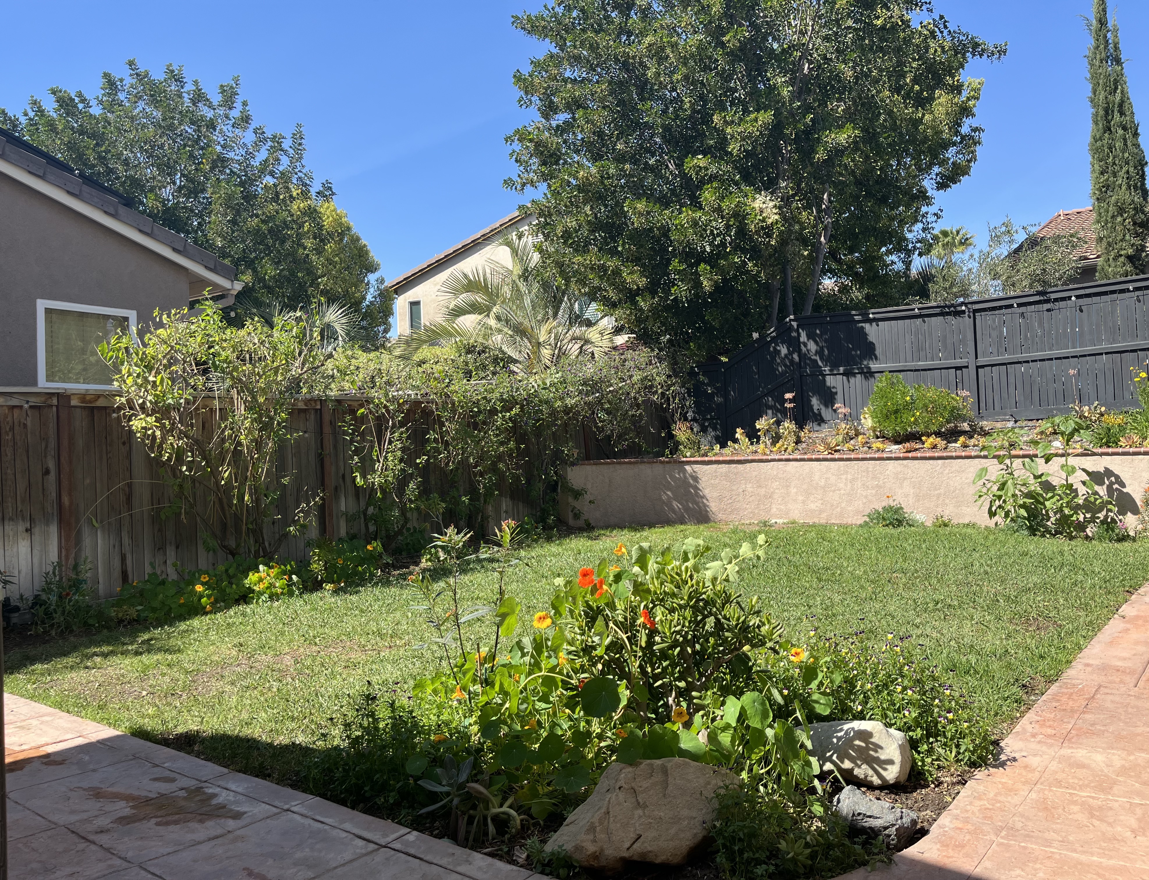 36912 Silk Tree Court Winchester, CA 92596 - Photo 37 of 44