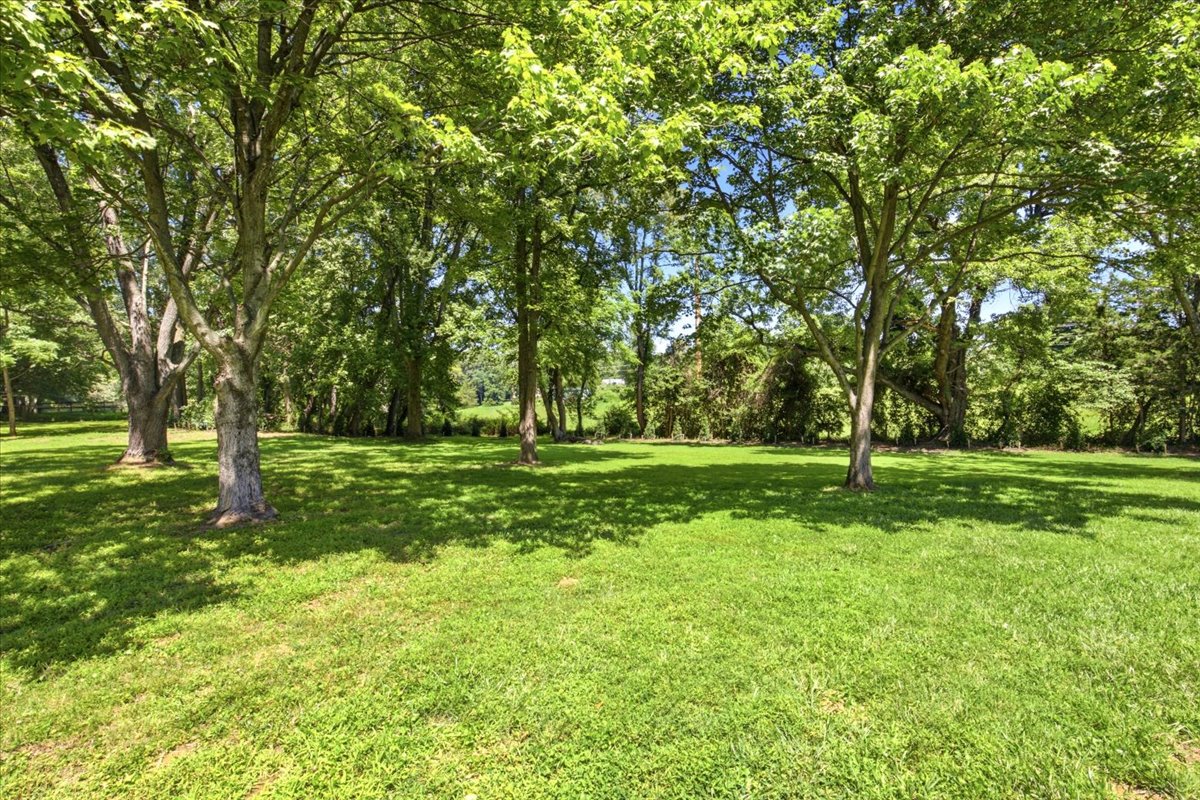 12650 Rolling Road Potomac, MD 20854 - Photo 71 of 74