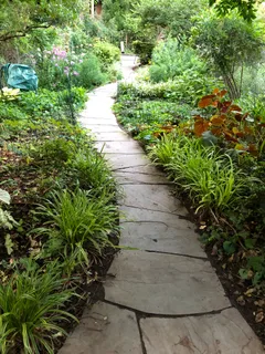 a view of a garden with flowers