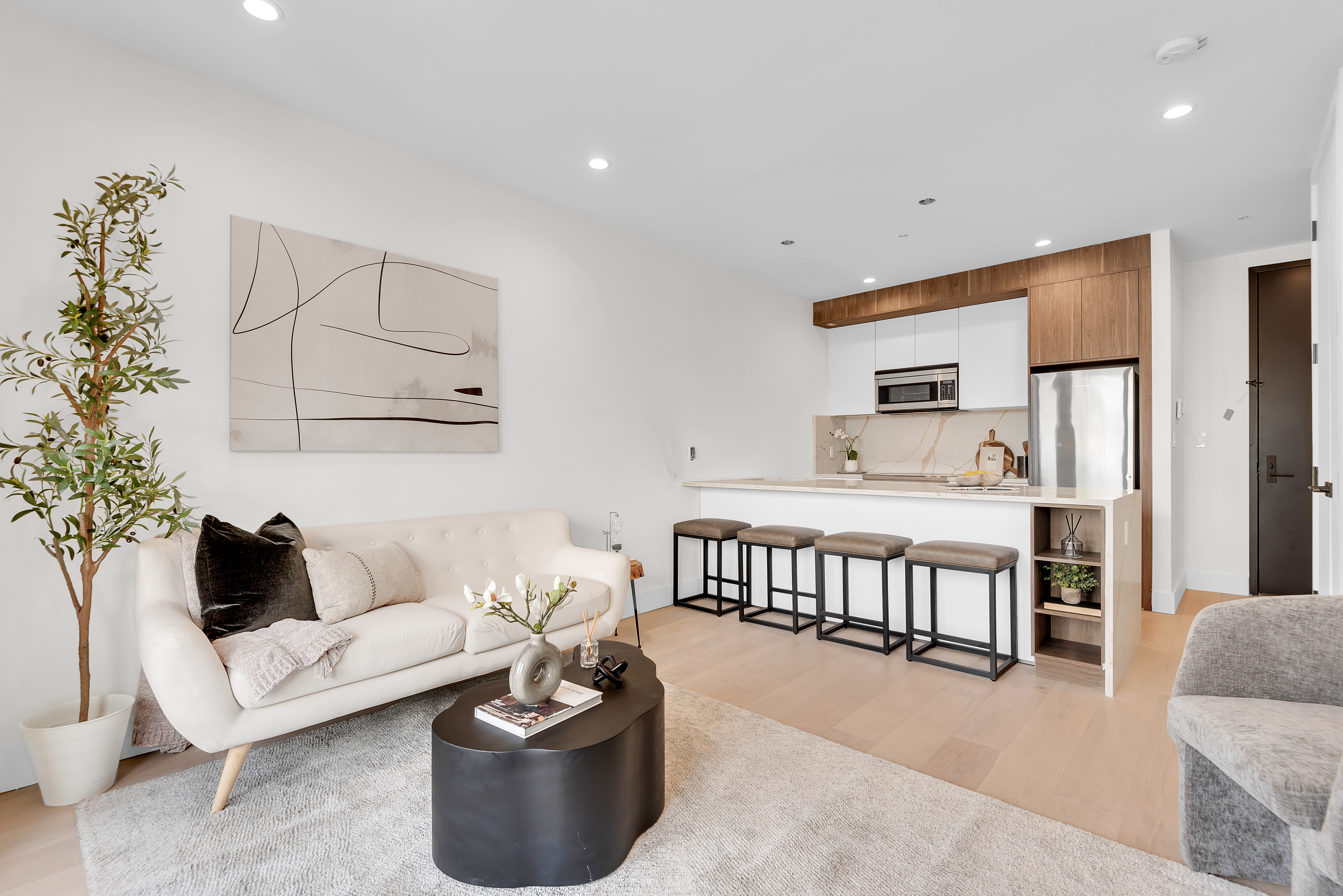 156 Somers Street, Unit 6AB Brooklyn, NY 11233 - Photo 2 of 8 a living room with furniture and a potted plant