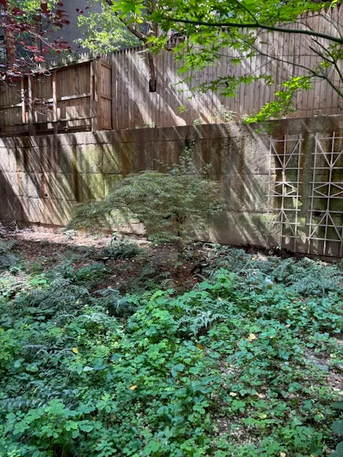 a picture of a bench in front of a door