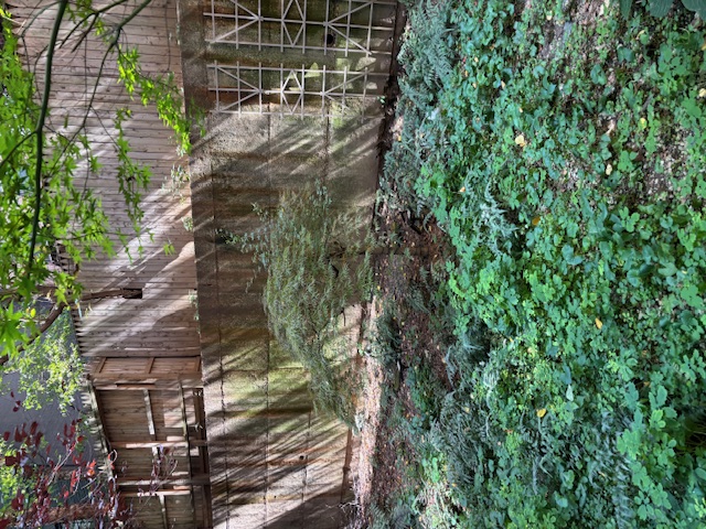 130 Hicks Street, Unit 1E Brooklyn, NY 11201 - Photo 11 of 12 a view of outdoor space and yard