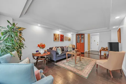 a living room with furniture and a potted plant