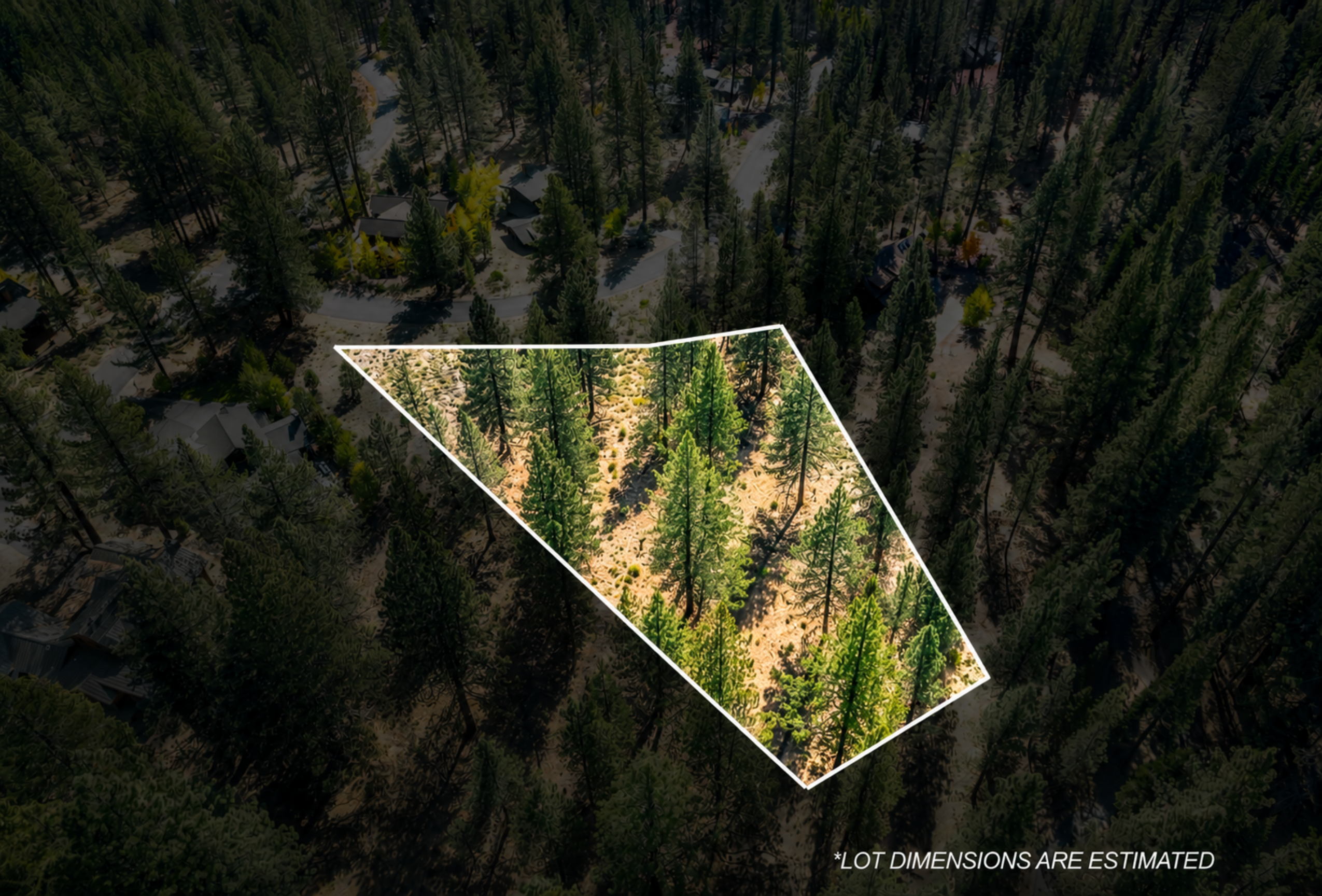 11670 Bottcher Loop Truckee, CA 96161 - Photo 3 of 16