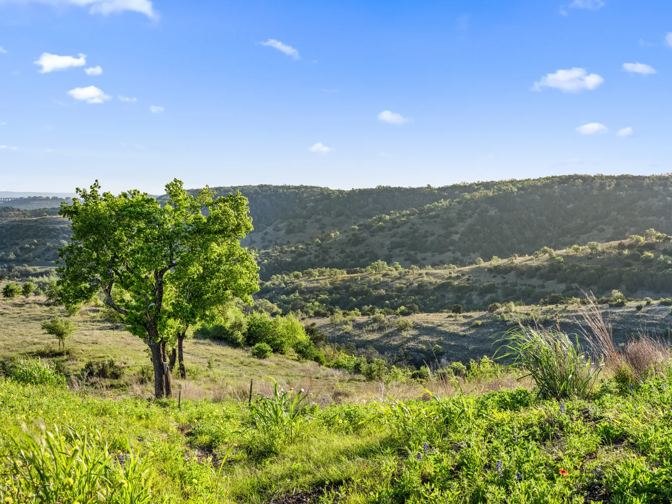 a view of a lake in between two trees