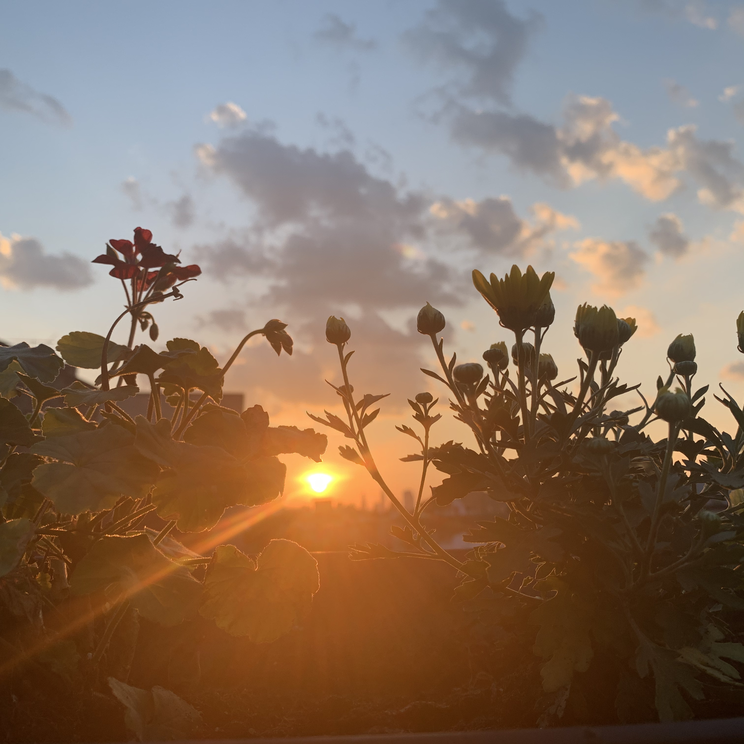 901 Saint Marks Avenue, Unit TRIPLEX Brooklyn, NY 11213 - Photo 20 of 28