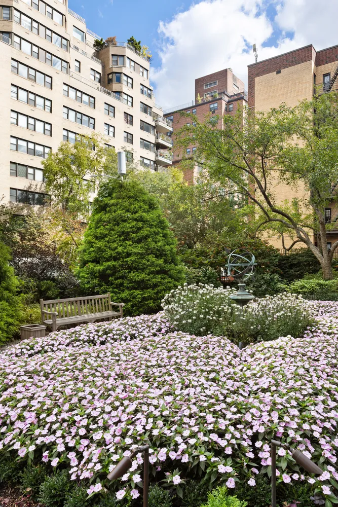 a view of a back yard
