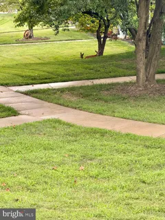 a view of yard with an outdoor space