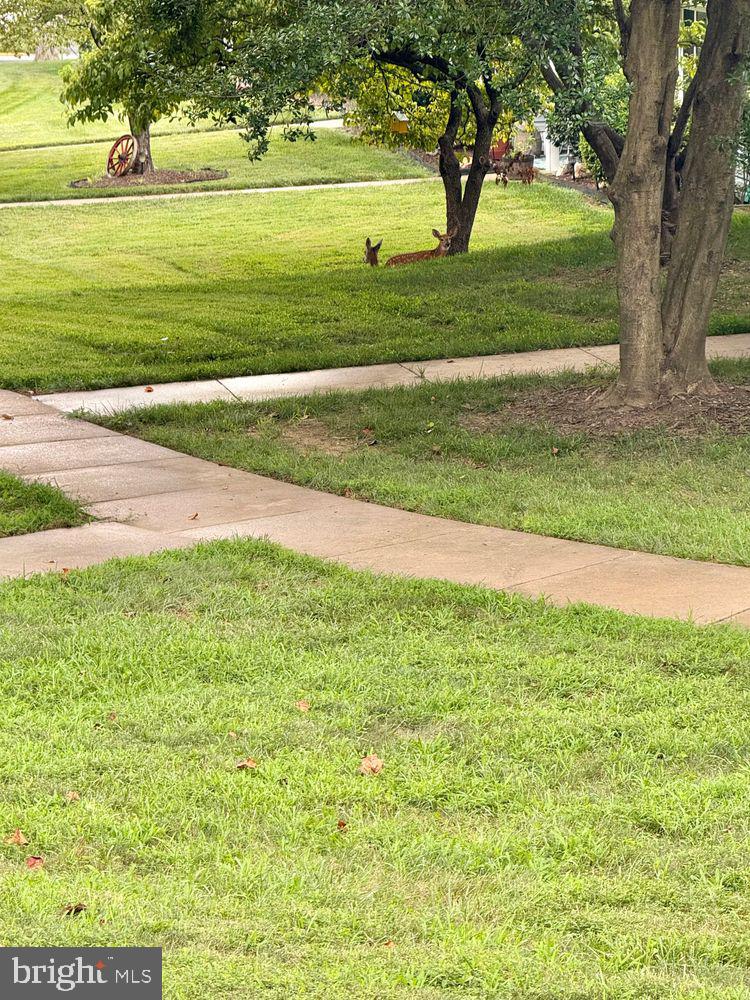 14603 Edelmar Drive, Unit 132A Silver Spring, MD 20906 - Photo 3 of 52 a view of yard with an outdoor space