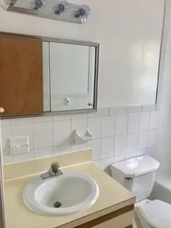 a bathroom with a toilet a sink and mirror