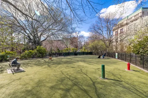 a view of a park with large trees
