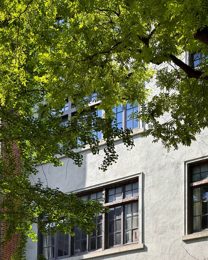 30-32 West 9th Street, Unit 5A Manhattan, NY 10011 - Photo 15 of 18 front view of a house with a tree