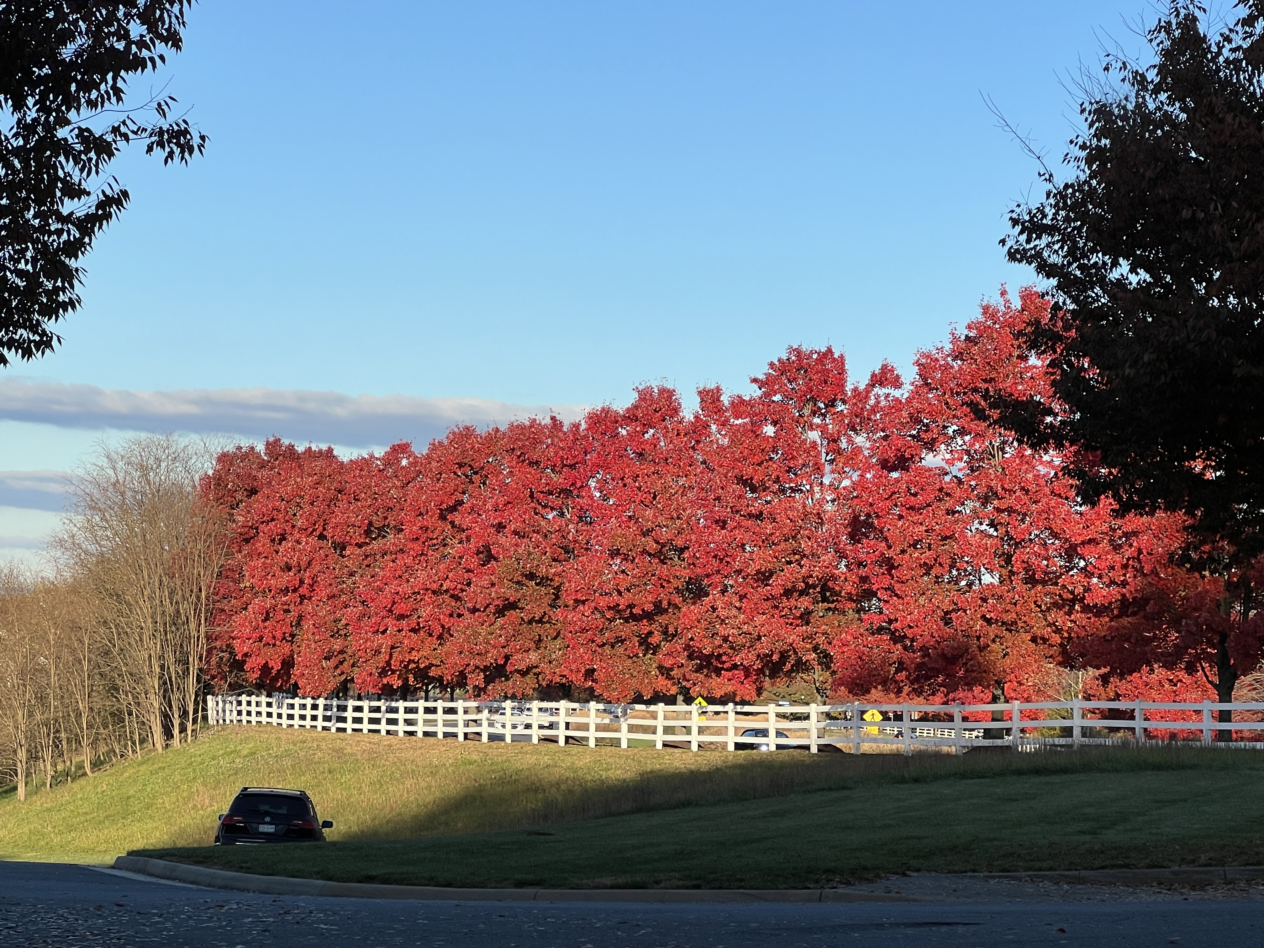 Address Upon Request Leesburg, VA 20176 - Photo 55 of 55 a view of a park
