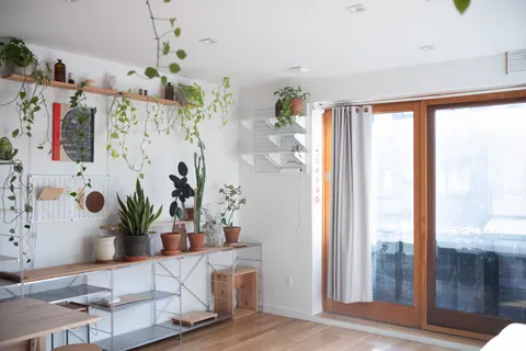 a view of bathroom with a potted plant