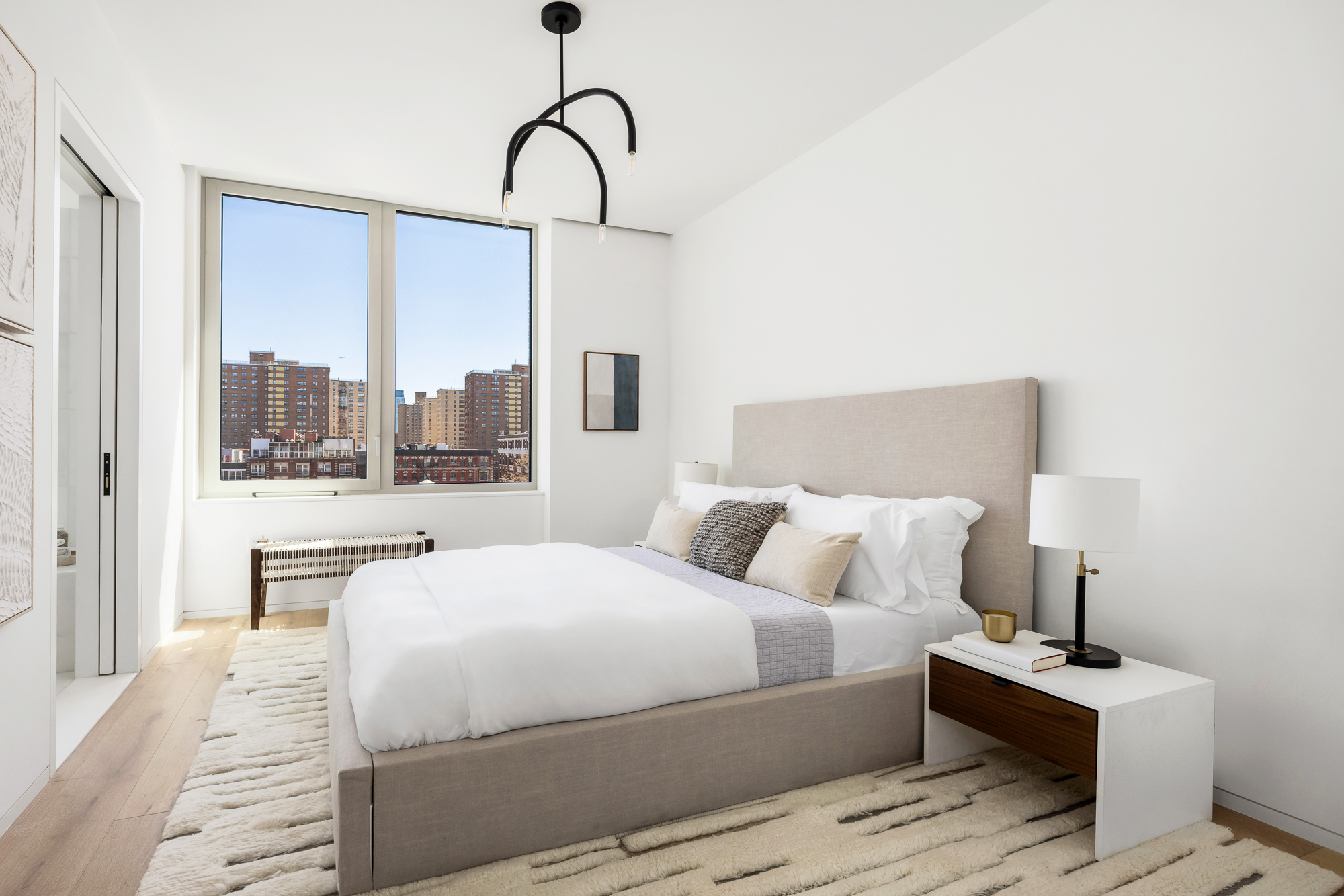 66 Clinton Street, Unit PHA Manhattan, NY 10002 - Photo 16 of 20