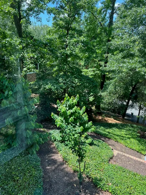 $1,275,000 | 7413 Rebecca Drive, Alexandria, VA 22307