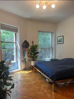 a living room with a couch and a potted plant