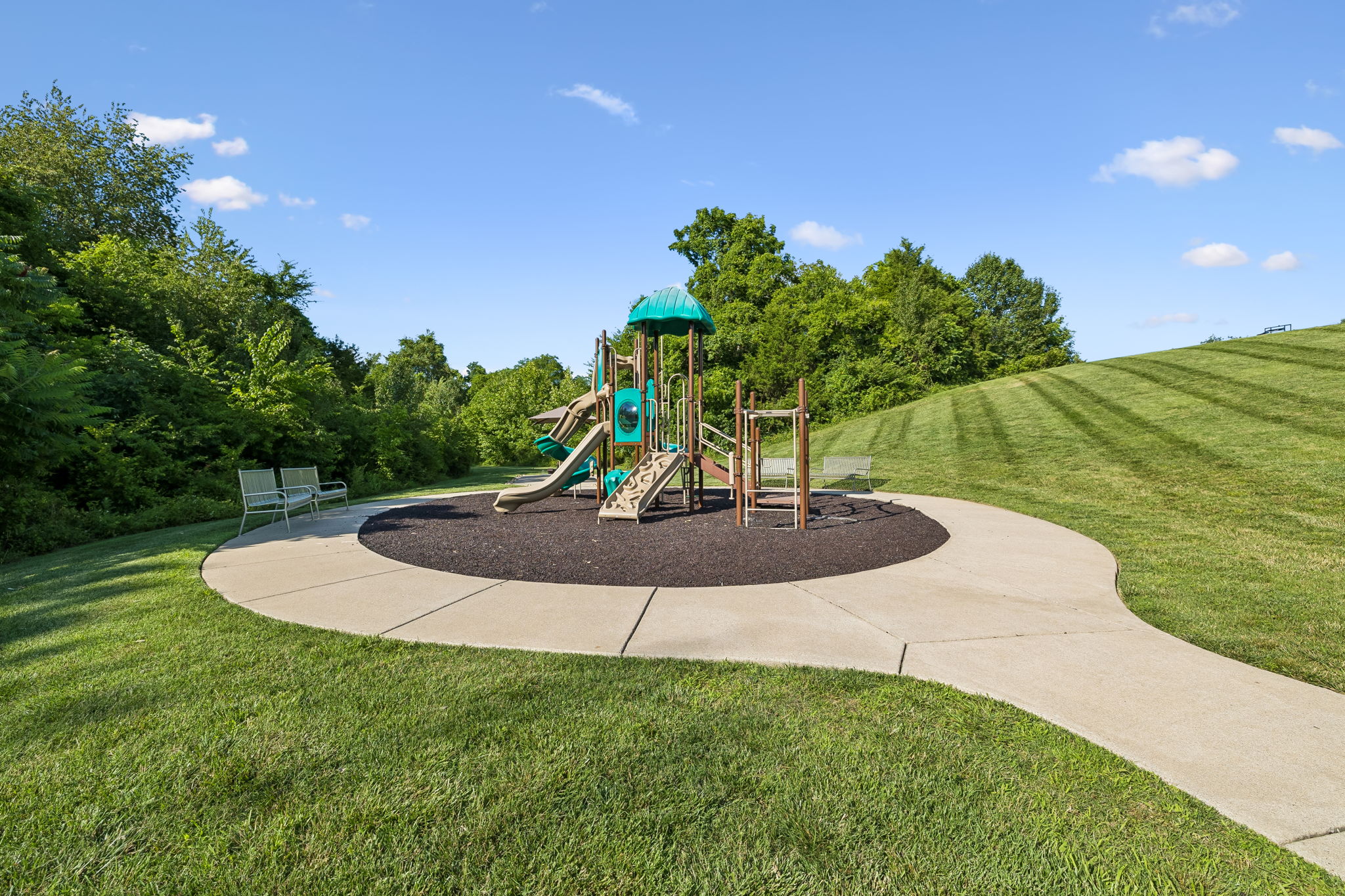 6732 Falls Ridge Lane College Grove, TN 37046 - Photo 61 of 87