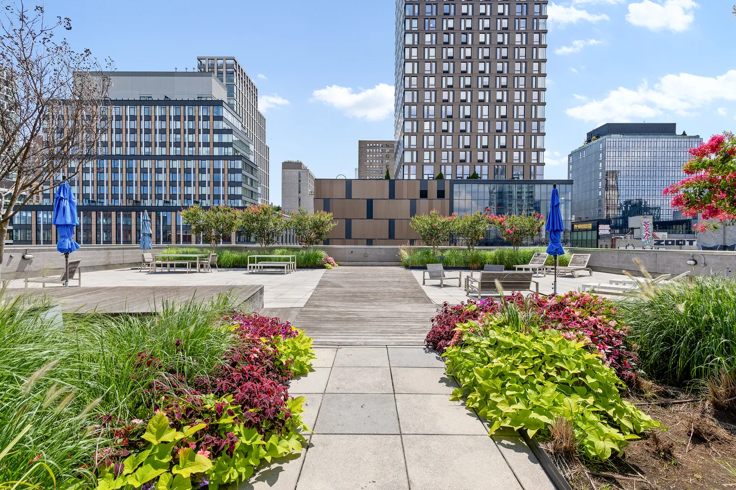 a view of building with garden